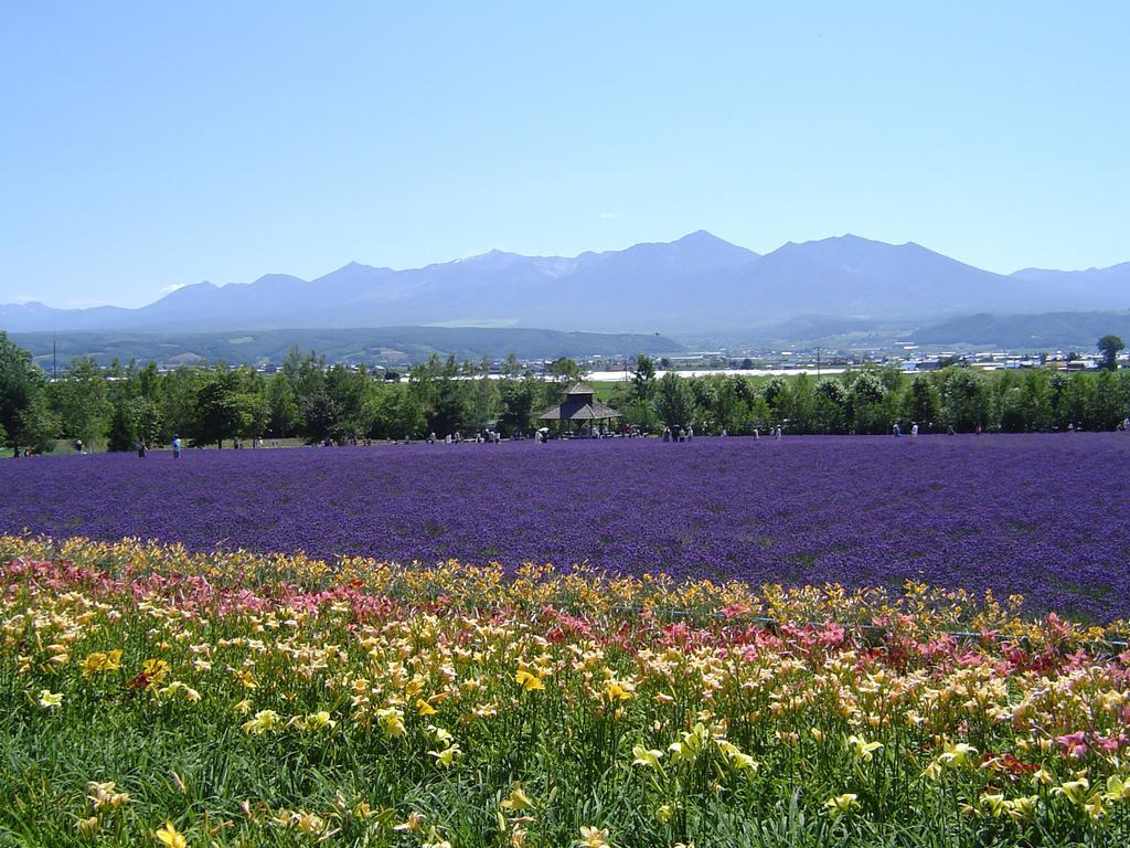 Furano Prince Hotel Εξωτερικό φωτογραφία